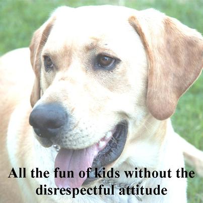 All the fun of kids without the disresptect